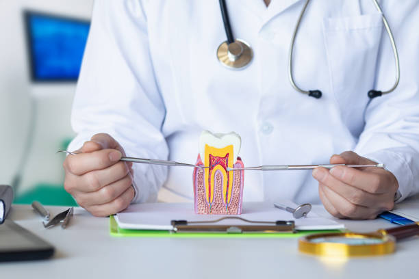 Urgent Tooth Repair in LA